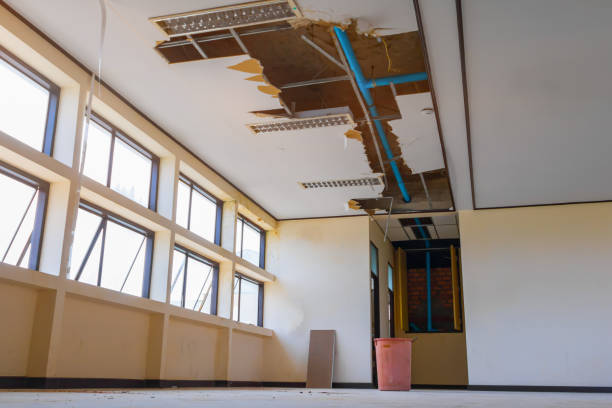 Best Ceiling water damage repair  in Egypt, AL