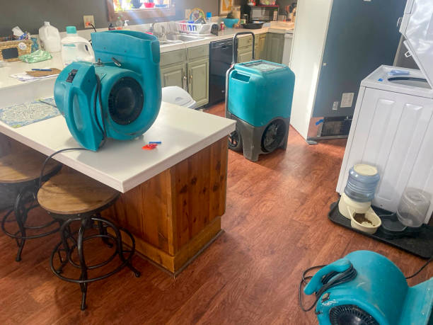 Best Water damage restoration near me  in Egypt, AL