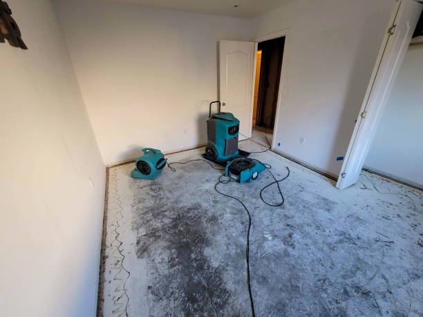 Best Basement water damage restoration  in Egypt, AL