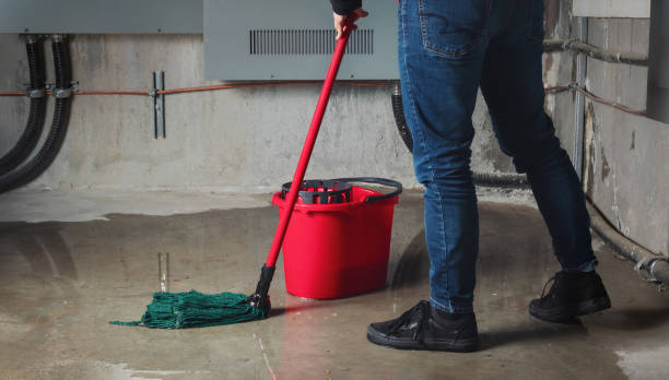 Best Water damage restoration near me  in Egypt, AL