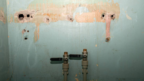 Best Emergency water damage restoration  in Egypt, AL