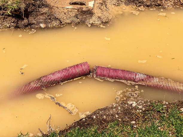 Best Professional water damage repair  in Egypt, AL