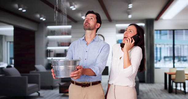 Best Carpet water damage restoration  in Egypt, AL